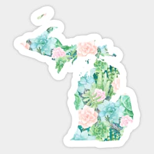 Aqua and Pink | Succulents Michigan Magnets and Stickers | Cherie's Art(c)2021 Sticker